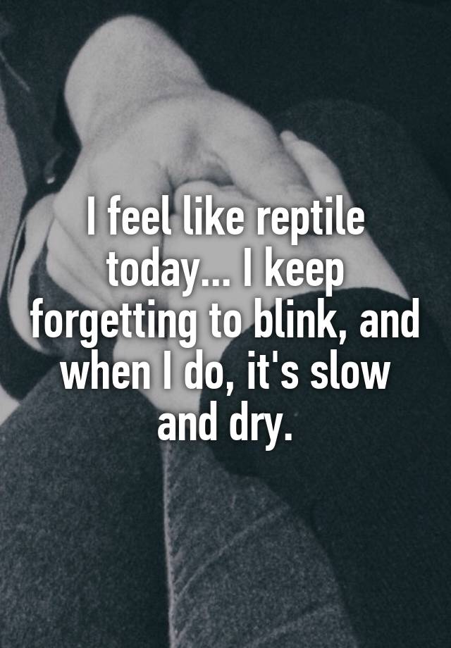 I feel like reptile today... I keep forgetting to blink, and when I do, it's slow and dry.