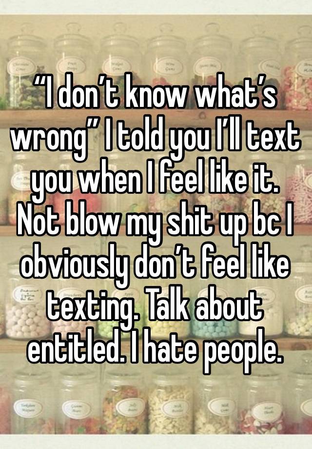 “I don’t know what’s wrong” I told you I’ll text you when I feel like it. Not blow my shit up bc I obviously don’t feel like texting. Talk about entitled. I hate people. 