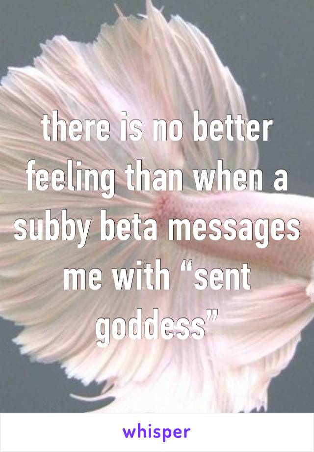 there is no better feeling than when a subby beta messages me with “sent goddess”