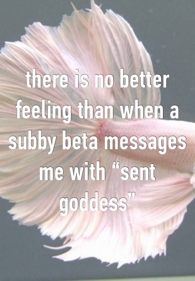 there is no better feeling than when a subby beta messages me with “sent goddess”