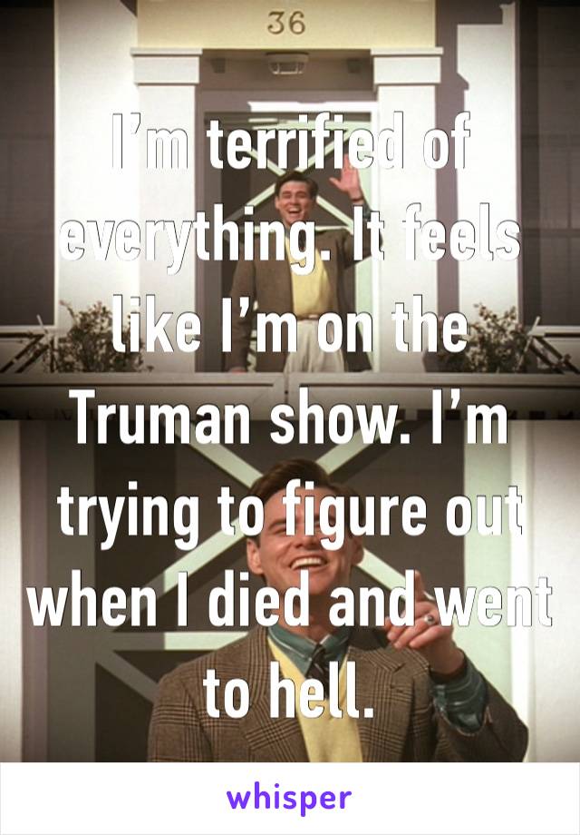 I’m terrified of everything. It feels like I’m on the Truman show. I’m trying to figure out when I died and went to hell. 