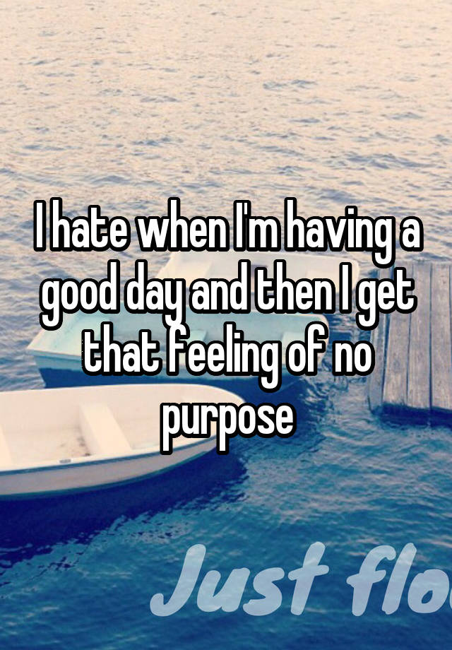 I hate when I'm having a good day and then I get that feeling of no purpose