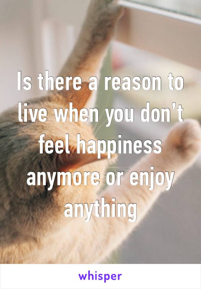 Is there a reason to live when you don’t feel happiness anymore or enjoy anything 