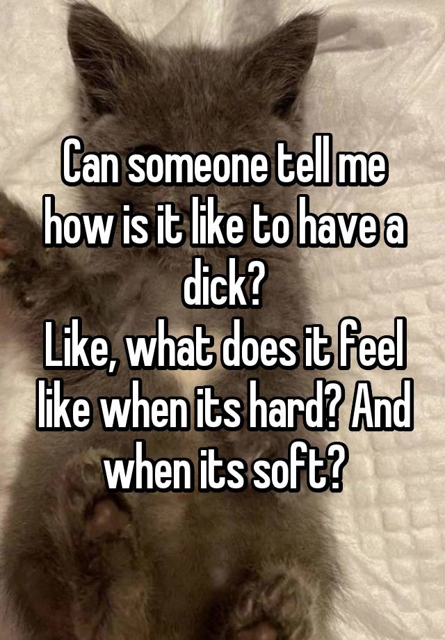 Can someone tell me how is it like to have a dick?
Like, what does it feel like when its hard? And when its soft?