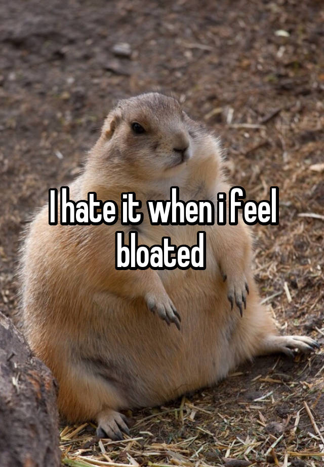 I hate it when i feel bloated 