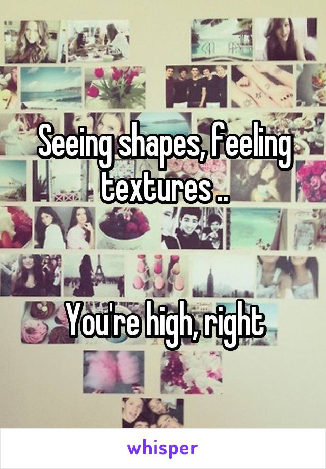 Seeing shapes, feeling textures ..


You're high, right