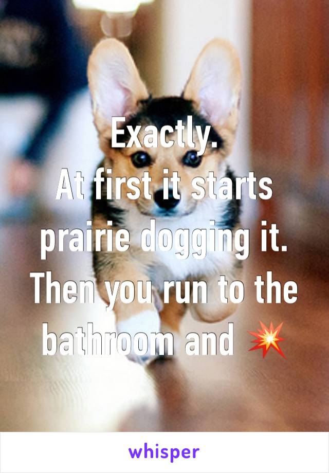 Exactly. 
At first it starts prairie dogging it. 
Then you run to the bathroom and 💥 