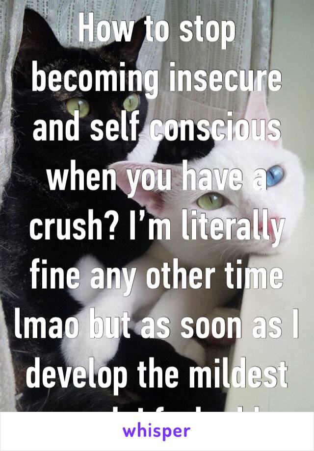 How to stop becoming insecure and self conscious when you have a crush? I’m literally fine any other time lmao but as soon as I develop the mildest crush i feel odd