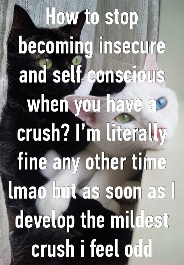 How to stop becoming insecure and self conscious when you have a crush? I’m literally fine any other time lmao but as soon as I develop the mildest crush i feel odd