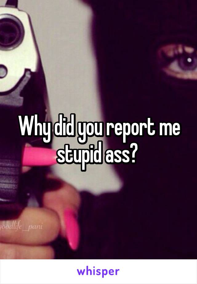 Why did you report me stupid ass? 