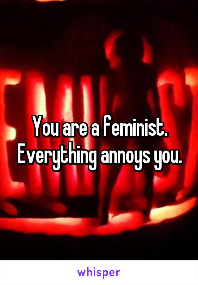 You are a feminist. Everything annoys you.