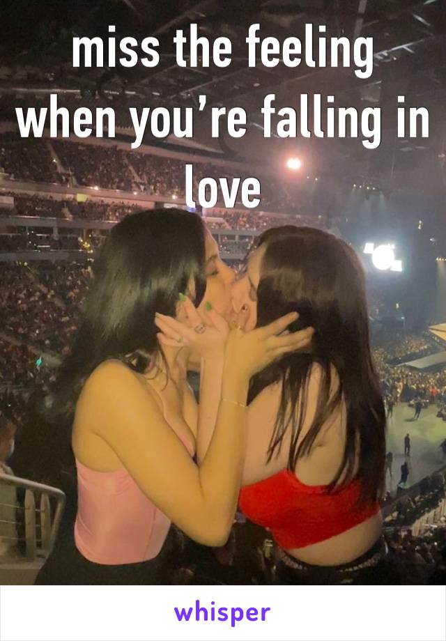 miss the feeling when you’re falling in love 