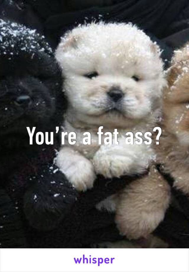 You’re a fat ass?