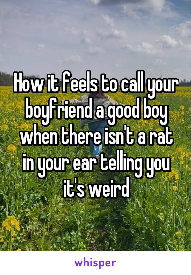 How it feels to call your boyfriend a good boy when there isn't a rat in your ear telling you it's weird