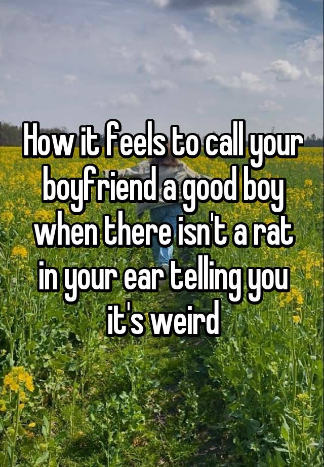 How it feels to call your boyfriend a good boy when there isn't a rat in your ear telling you it's weird