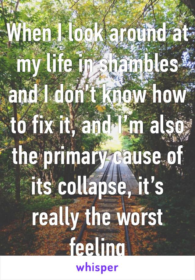 When I look around at my life in shambles and I don’t know how to fix it, and I’m also the primary cause of its collapse, it’s really the worst feeling 