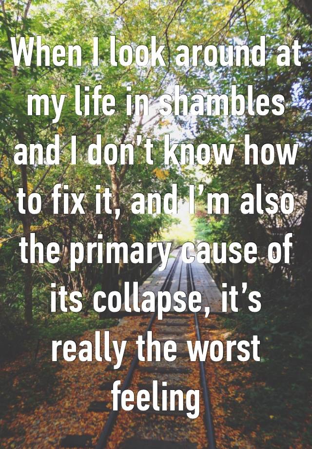 When I look around at my life in shambles and I don’t know how to fix it, and I’m also the primary cause of its collapse, it’s really the worst feeling 