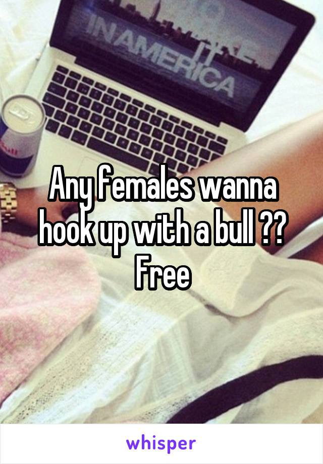 Any females wanna hook up with a bull ??
Free
