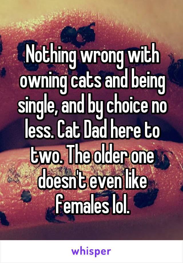 Nothing wrong with owning cats and being single, and by choice no less. Cat Dad here to two. The older one doesn't even like females lol.