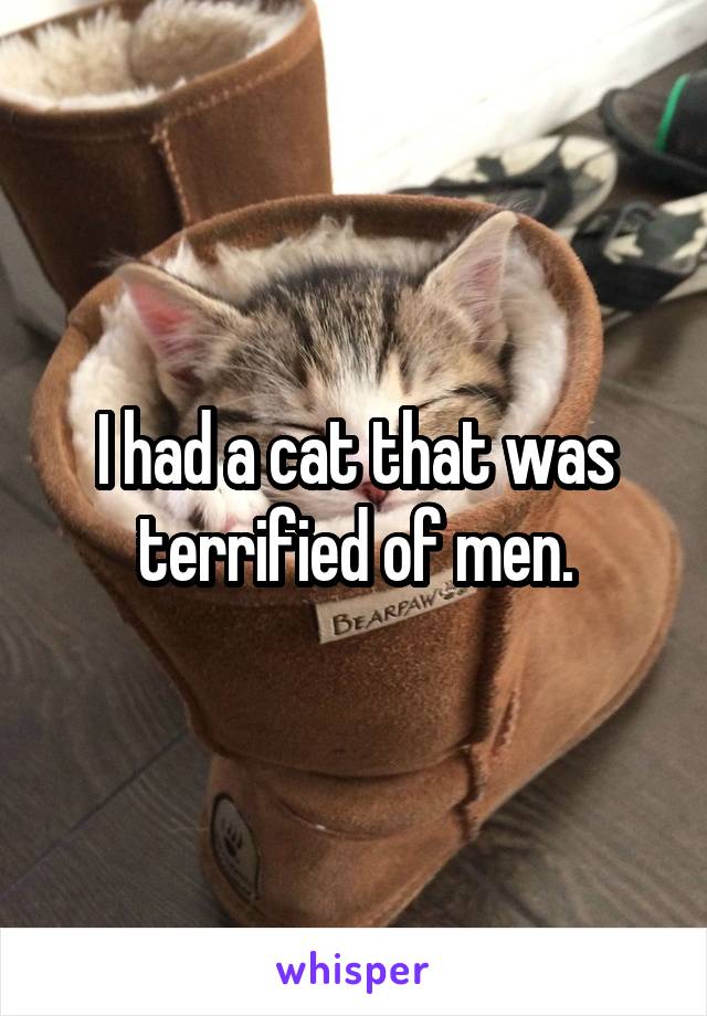 I had a cat that was terrified of men.