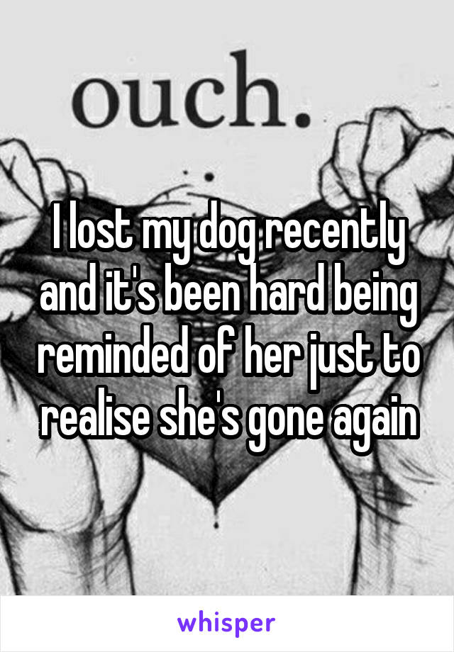 I lost my dog recently and it's been hard being reminded of her just to realise she's gone again