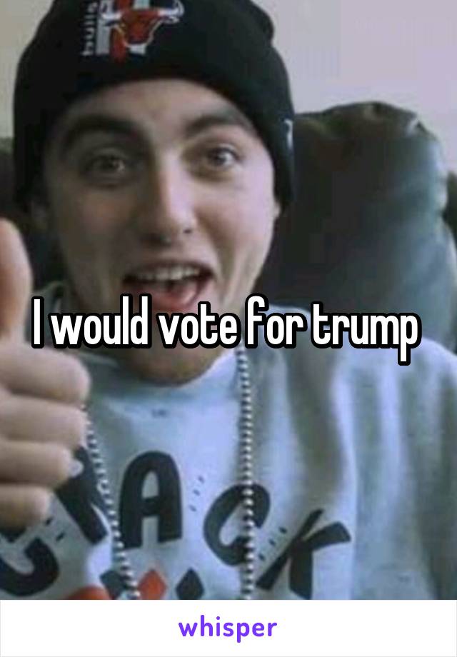 I would vote for trump 