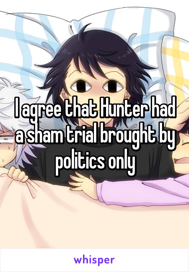 I agree that Hunter had a sham trial brought by politics only