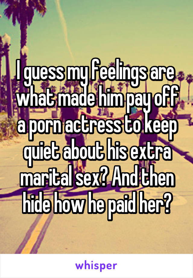 I guess my feelings are  what made him pay off a porn actress to keep quiet about his extra marital sex? And then hide how he paid her?