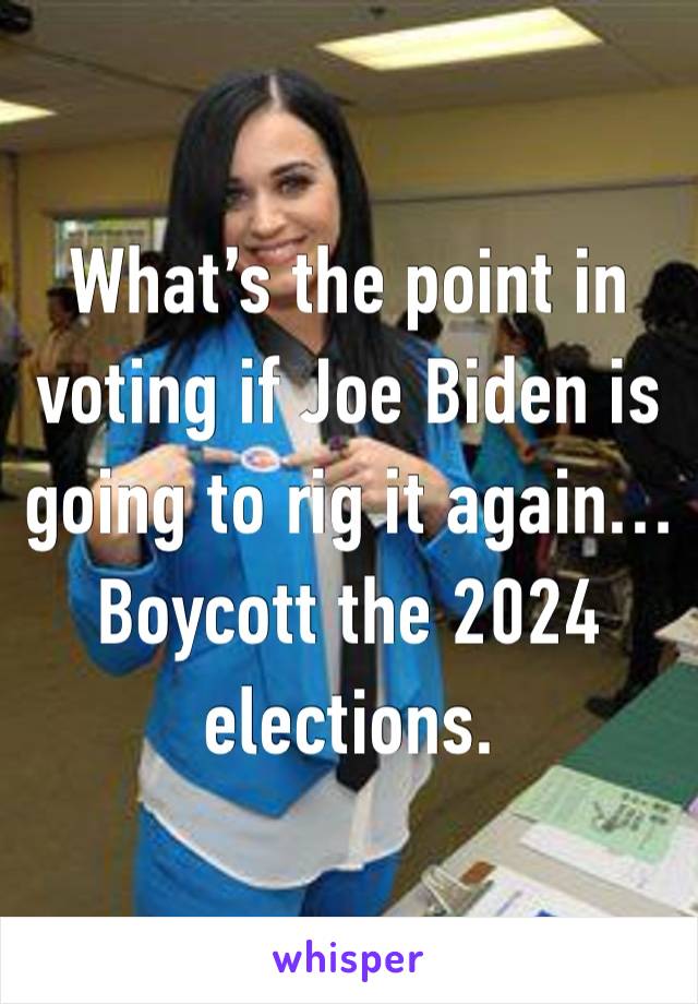 What’s the point in voting if Joe Biden is going to rig it again… Boycott the 2024 elections. 