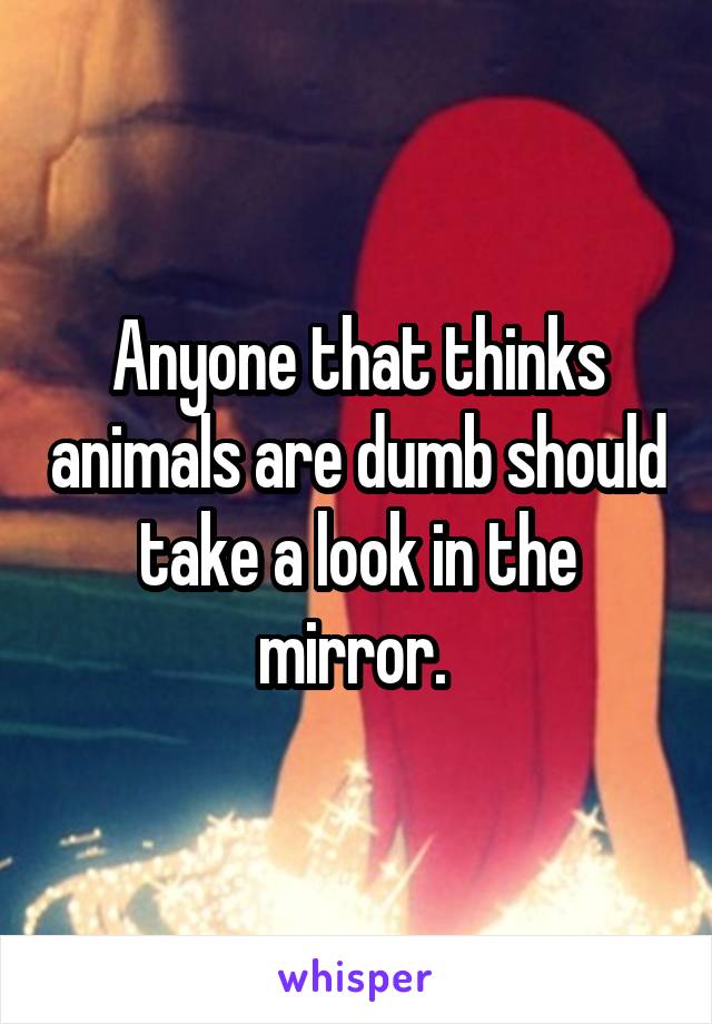 Anyone that thinks animals are dumb should take a look in the mirror. 