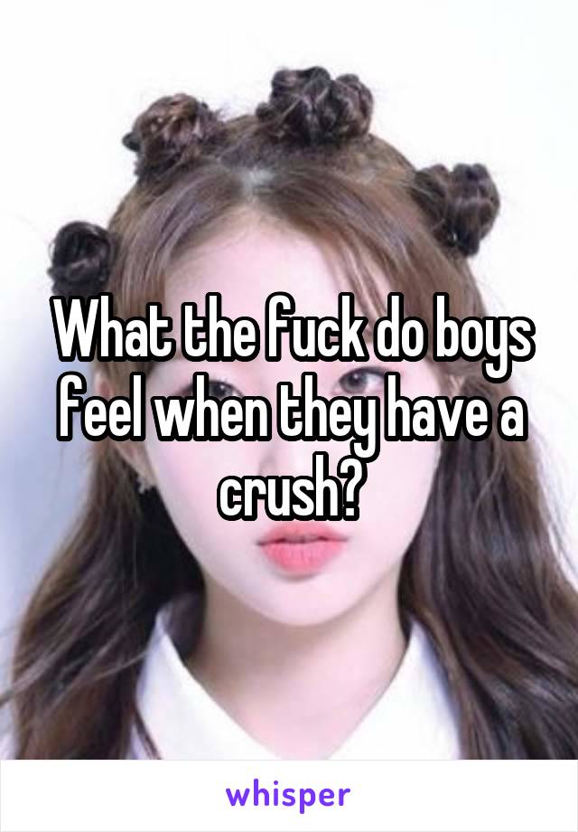 What the fuck do boys feel when they have a crush?