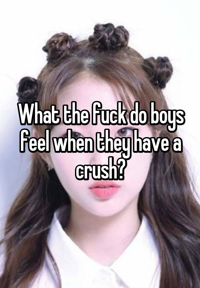 What the fuck do boys feel when they have a crush?