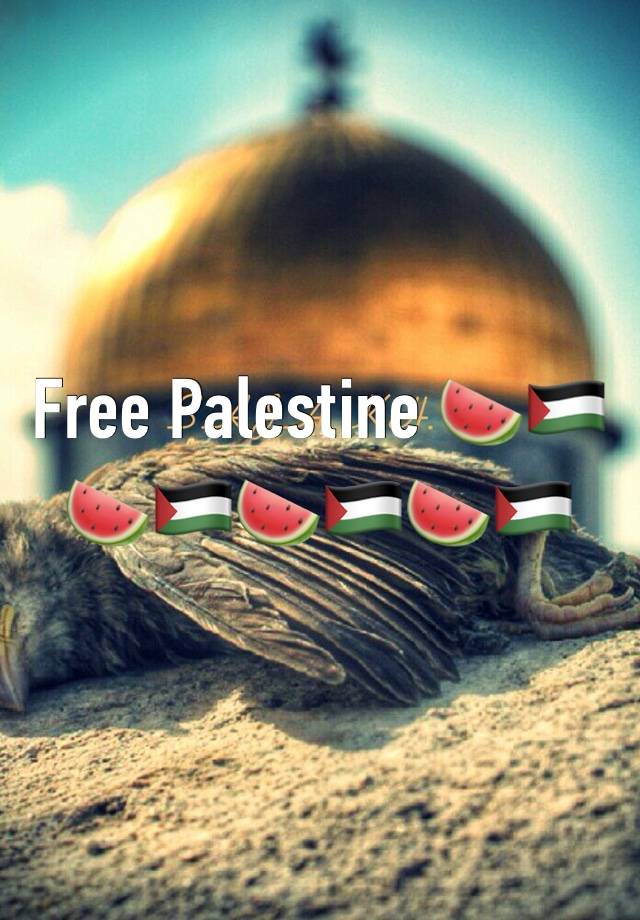 Free Palestine 🍉🇵🇸🍉🇵🇸🍉🇵🇸🍉🇵🇸
