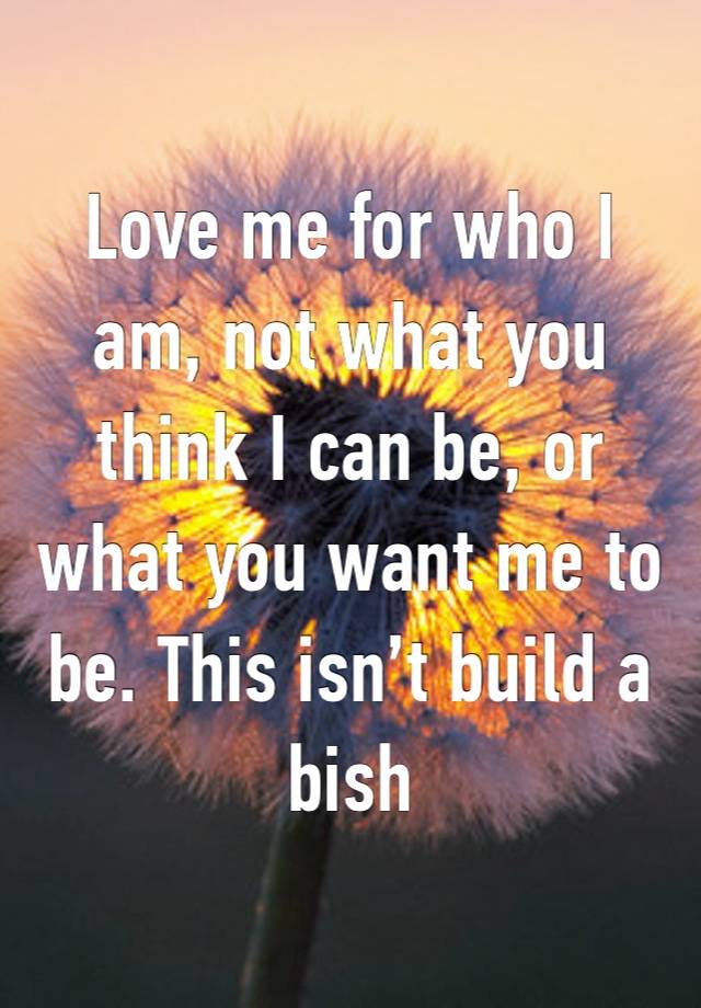 Love me for who I am, not what you think I can be, or what you want me to be. This isn’t build a bish 