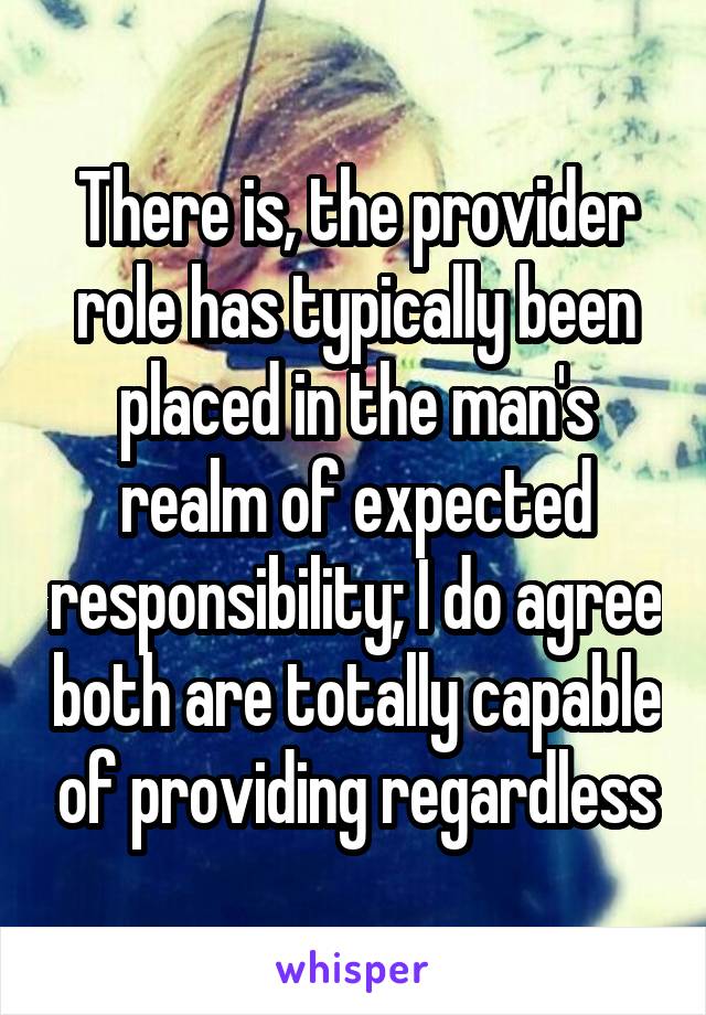 There is, the provider role has typically been placed in the man's realm of expected responsibility; I do agree both are totally capable of providing regardless