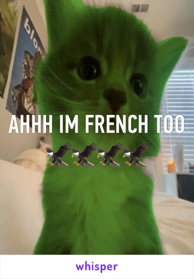 AHHH IM FRENCH TOO 🦅🦅🦅🦅