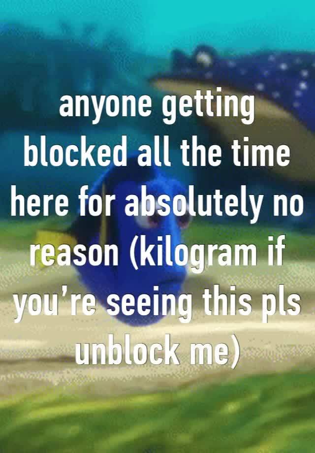 anyone getting blocked all the time here for absolutely no reason (kilogram if you’re seeing this pls unblock me) 