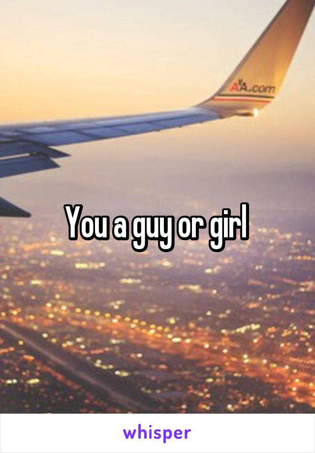 You a guy or girl 