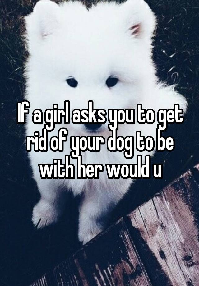 If a girl asks you to get rid of your dog to be with her would u