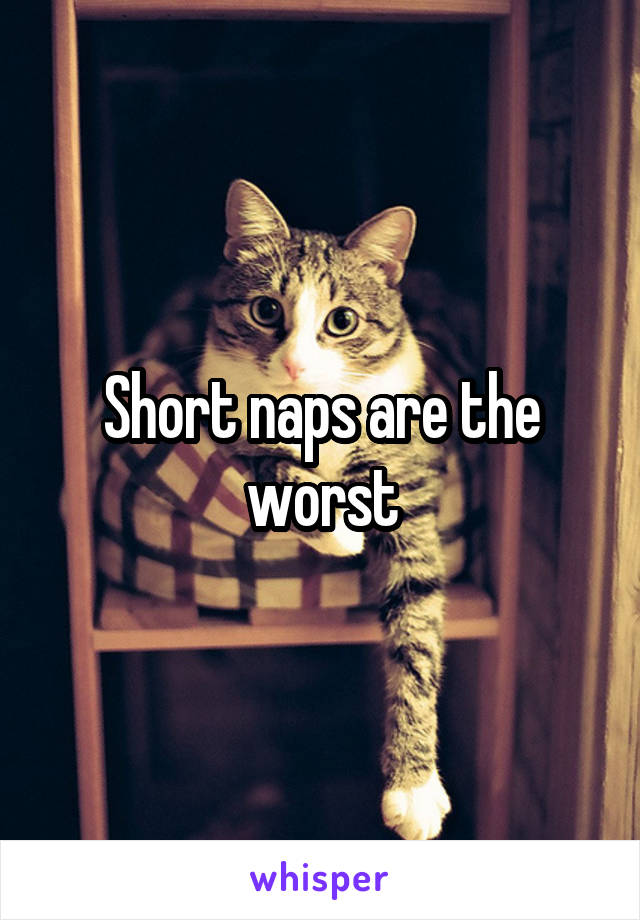 Short naps are the worst