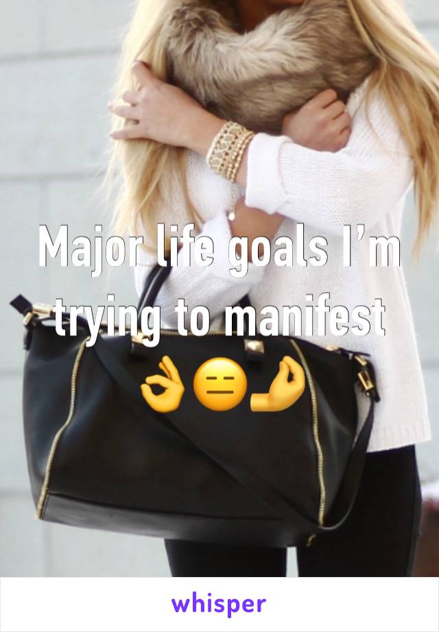 Major life goals I’m trying to manifest 
👌😑🤌