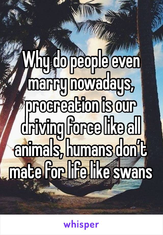 Why do people even marry nowadays, procreation is our driving force like all animals, humans don’t mate for life like swans 