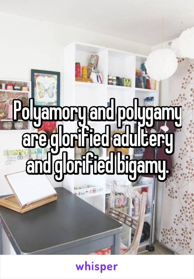 Polyamory and polygamy are glorified adultery and glorified bigamy.