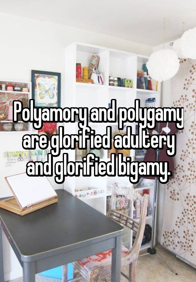 Polyamory and polygamy are glorified adultery and glorified bigamy.