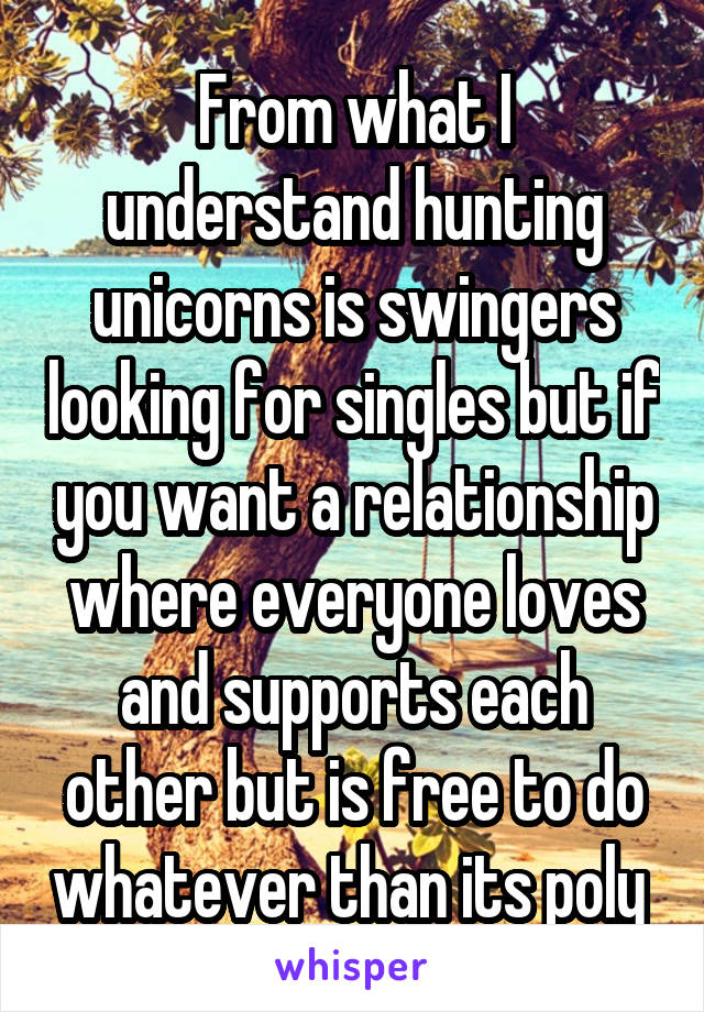 From what I understand hunting unicorns is swingers looking for singles but if you want a relationship where everyone loves and supports each other but is free to do whatever than its poly 