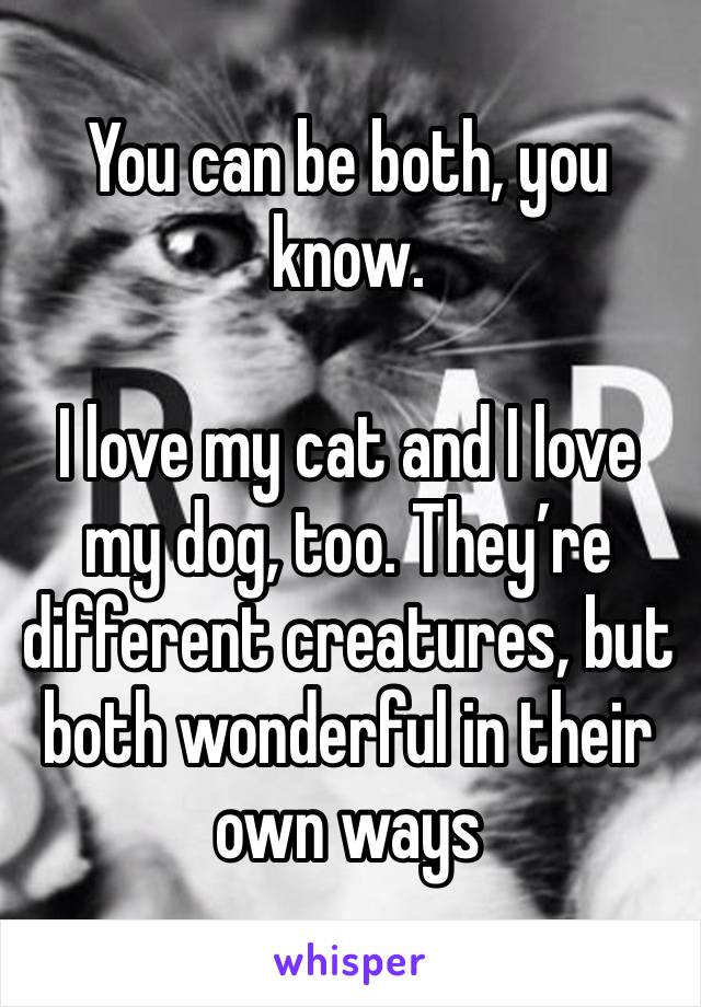 You can be both, you know. 

I love my cat and I love my dog, too. They’re different creatures, but both wonderful in their own ways 