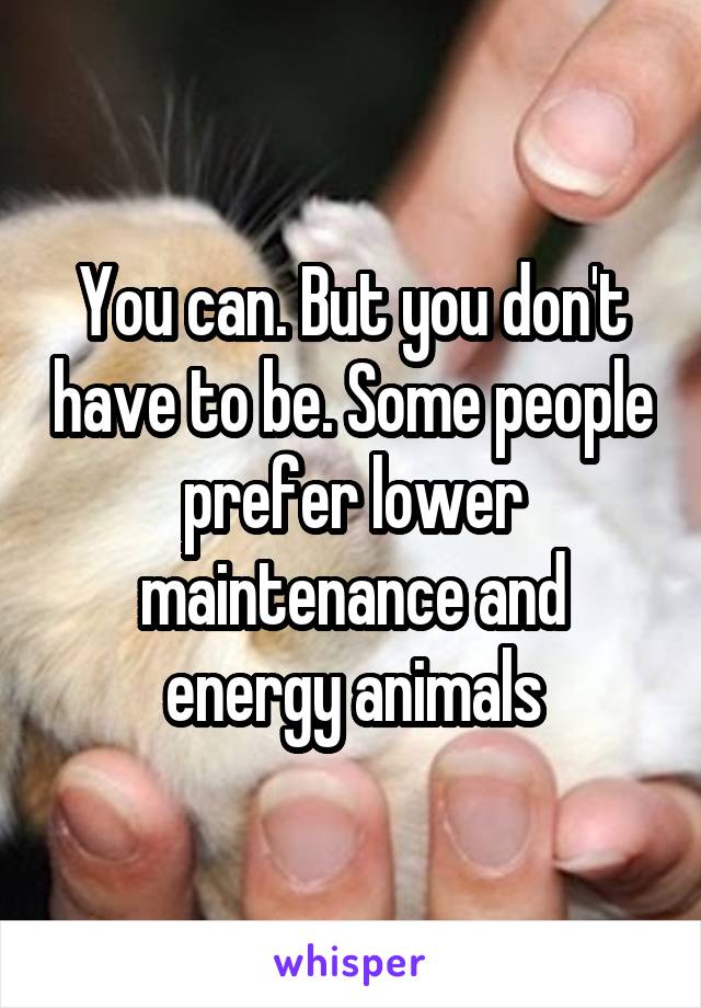 You can. But you don't have to be. Some people prefer lower maintenance and energy animals