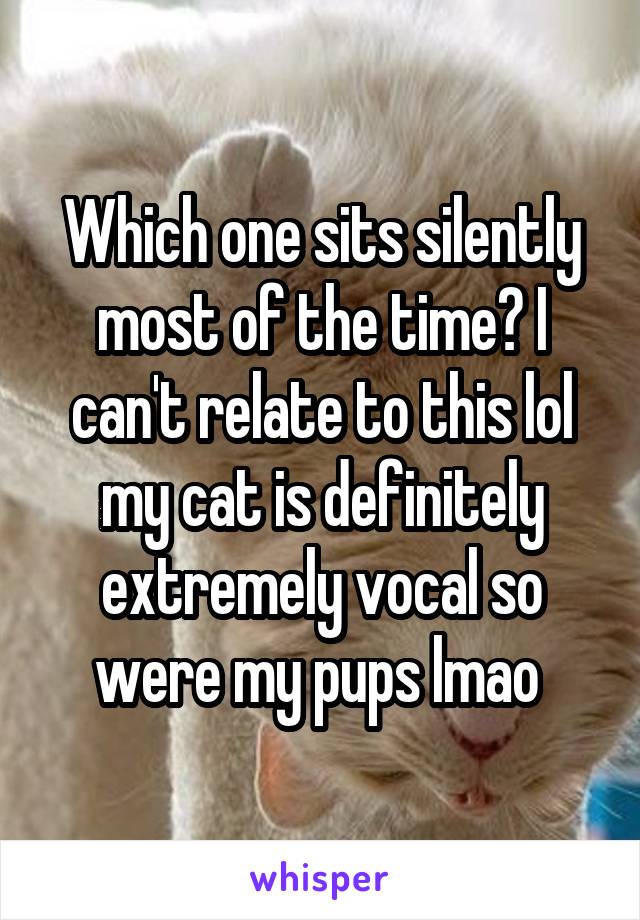 Which one sits silently most of the time? I can't relate to this lol my cat is definitely extremely vocal so were my pups lmao 