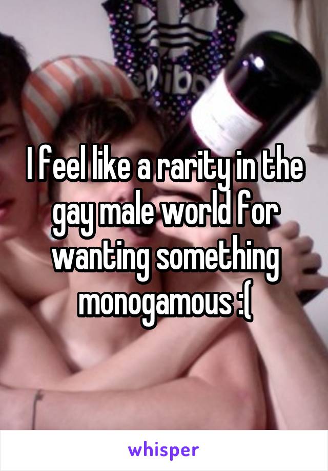 I feel like a rarity in the gay male world for wanting something monogamous :(