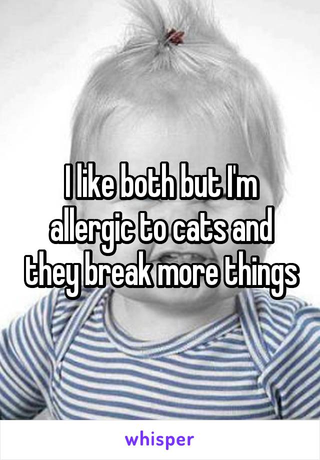 I like both but I'm allergic to cats and they break more things